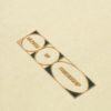 T-SHIRT - EMENTA SB - LION - OFF WHITE – Image 3